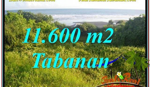 TANAH DIJUAL di TABANAN BALI 116 Are View Laut, Gunung dan sawah