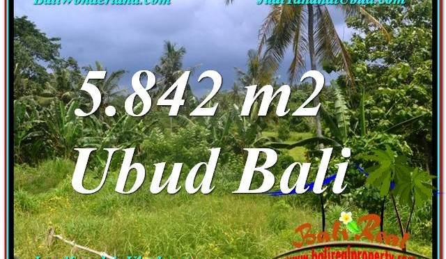JUAL TANAH MURAH di UBUD BALI 5,842 m2 di Sentral / Ubud Center