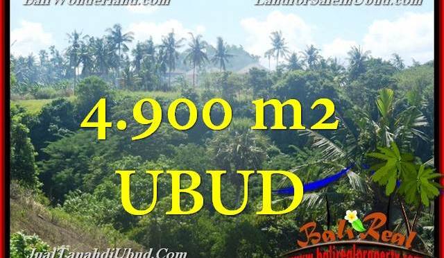 DIJUAL TANAH MURAH di UBUD BALI 4,900 m2 di Ubud Gianyar