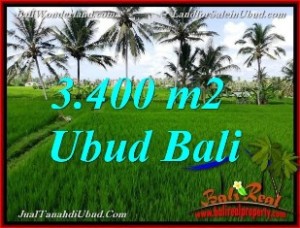 JUAL MURAH TANAH di UBUD 3,400 m2 di Ubud Pejeng
