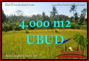 DIJUAL MURAH TANAH di UBUD 4,000 m2 di Ubud Gianyar