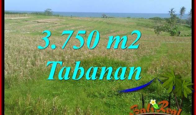 DIJUAL MURAH TANAH di TABANAN 37.5 Are di TABANAN SELEMADEG
